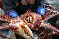 Alaskan Commercial Fishing